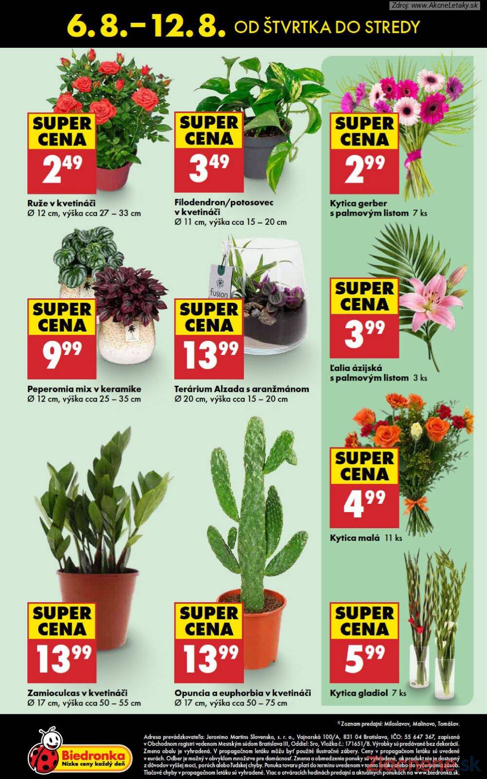 Biedronka do 12.8.