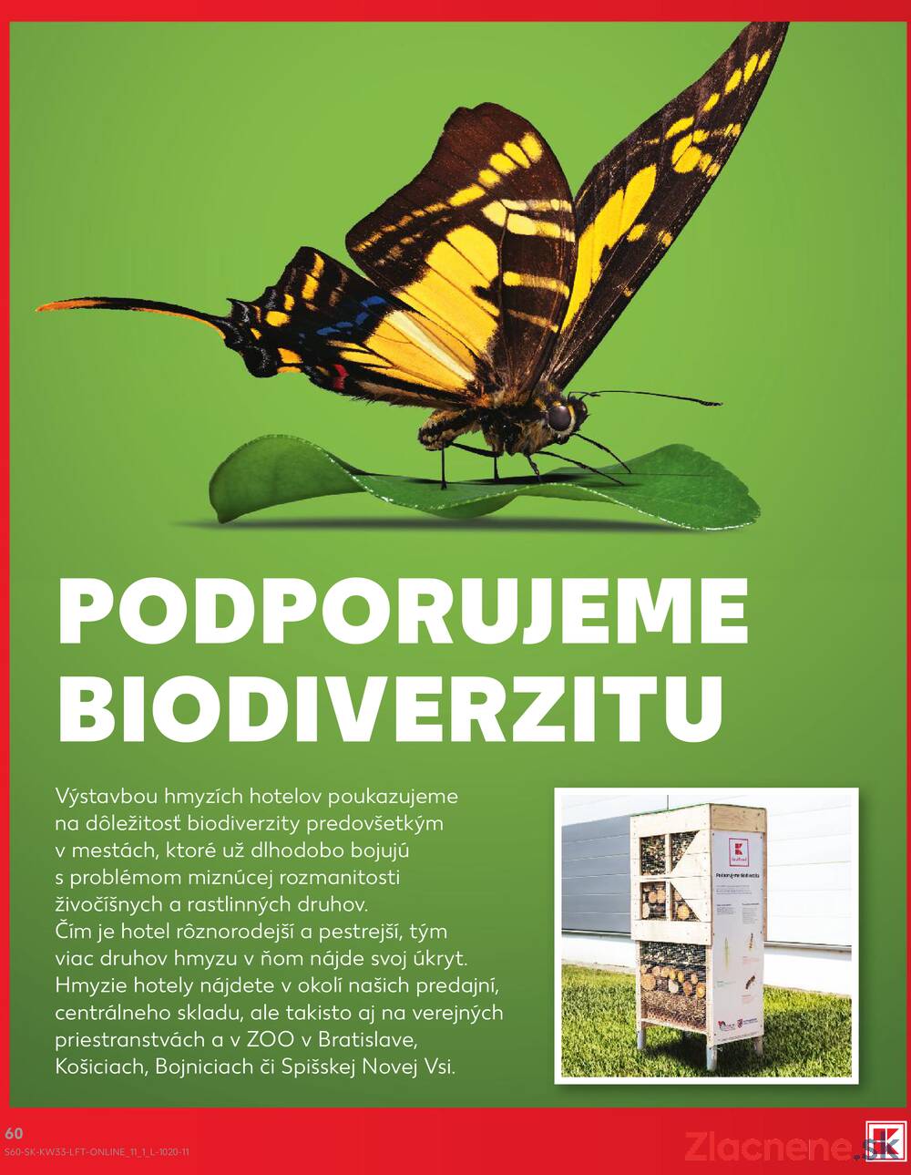 Kaufland 13.8. - 19.8. - Kaufland Trnava - Nová ul.