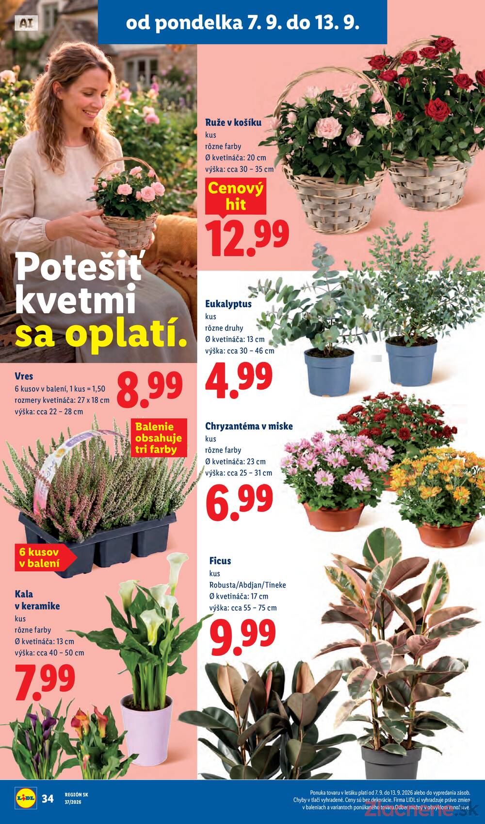 Lidl 7.9. - 13.9.