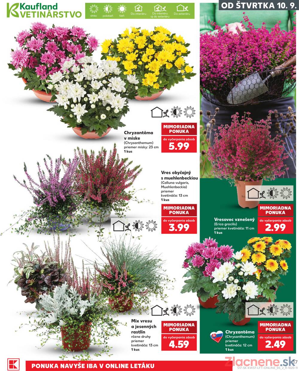 Kaufland 10.9. - 16.9. - Kaufland Košice - Nad Jazerom