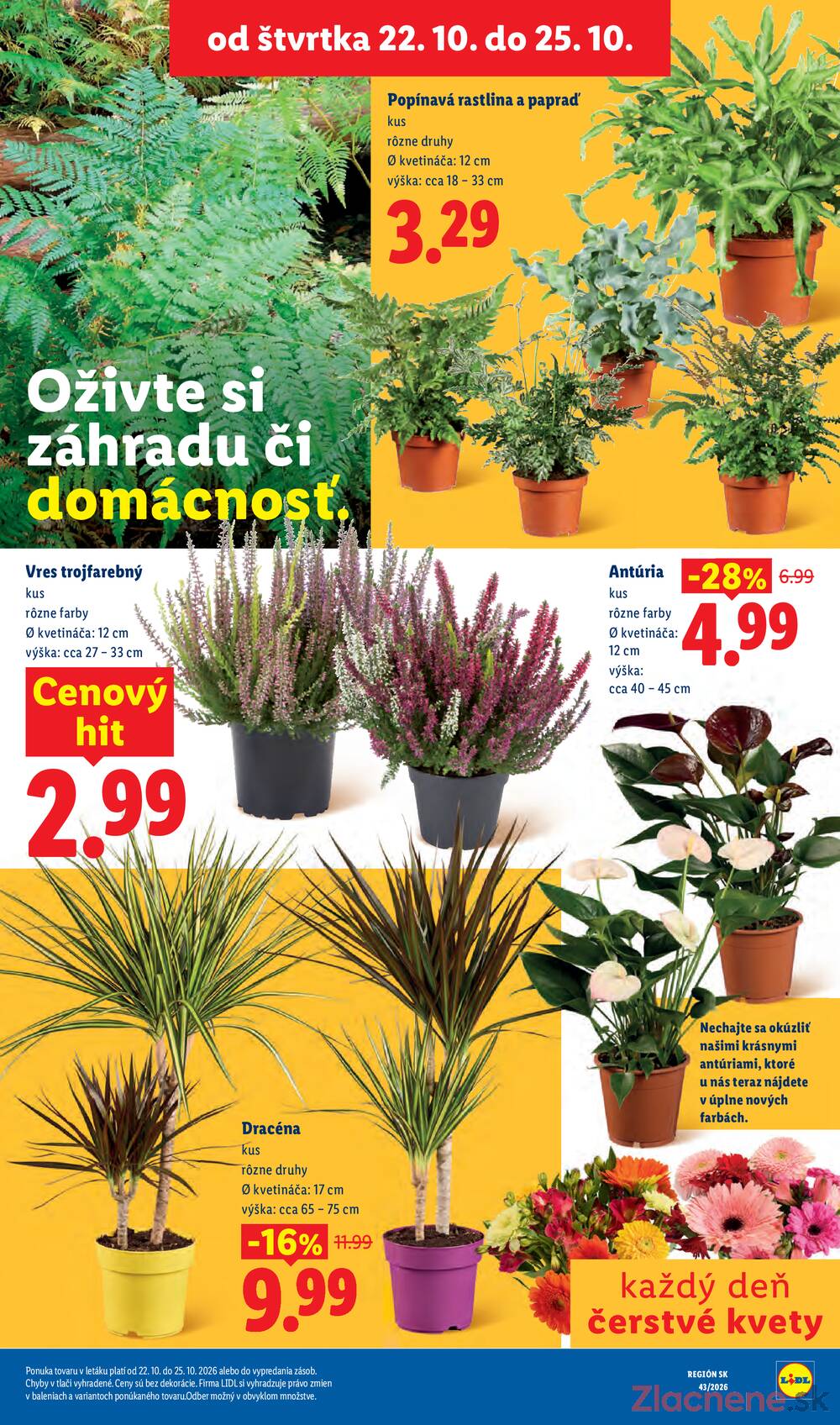 Lidl 19.10. - 25.10.