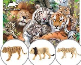 3D puzzle