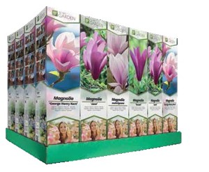 Magnólia mix