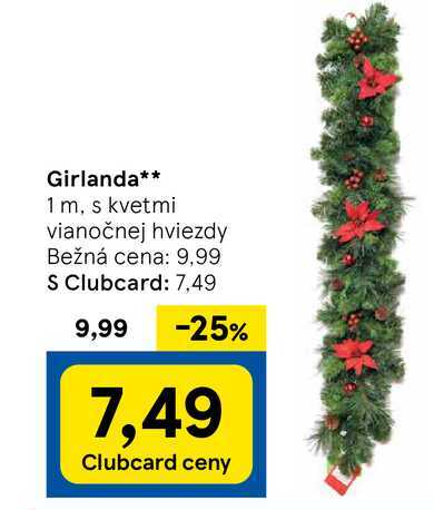 Girlanda 1 m, s kvetmi vianočnej hviezdy