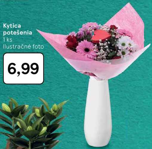 Kytica potešenia 