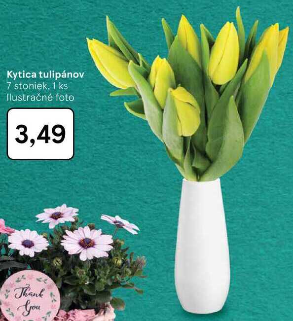 Kytica tulipánov