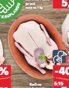 Goldenfood Kačka