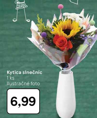 Kytica slnečníc 1 ks 