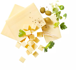 Gouda 100g