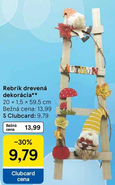 Rebrík drevená dekorácia
