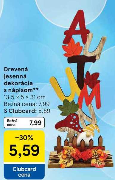 Drevená jesenná dekorácia s nápisom