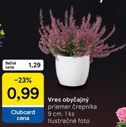 Vres obyčajný