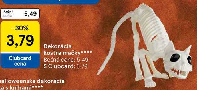 Dekorácia kostra mačky