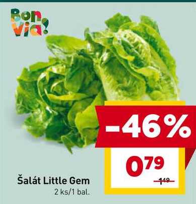 Šalát Little Gem 2 ks