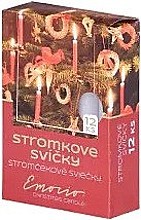 SMREK PICHĽAVÝ (PICEA PUNGENS)