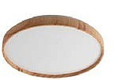 LED stropnica LEANA 2