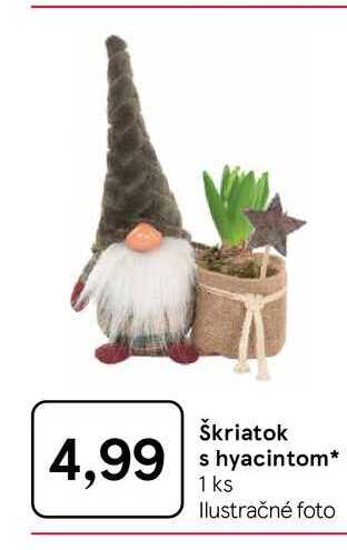 Škriatok s hyacintom 1 ks 