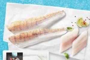 Fjord Zubáč filety