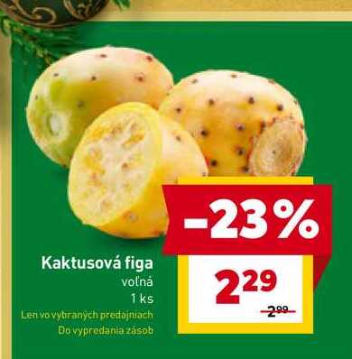 Kaktusová figa voľná 1 ks