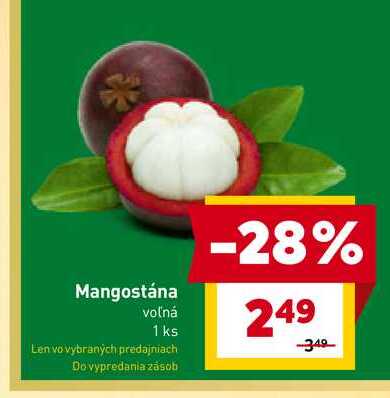 Mangostána voľná 1 ks