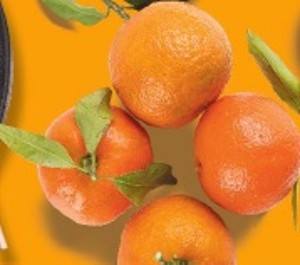 Mandarinky s lístkom