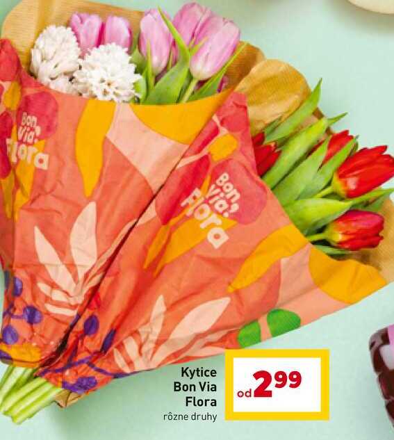 Kytice Bon Via Flora rôzne druhy