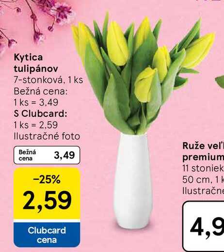 Kytica tulipánov 7-stonková, 1 ks 