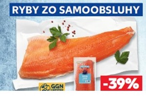 Losos nórsky fileta