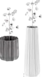 Dekoratívna kvetina bavlna