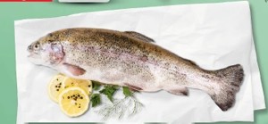 Rybárstvo Požehy Pstruh