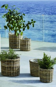 Prútené kvetináče SANSEBIE