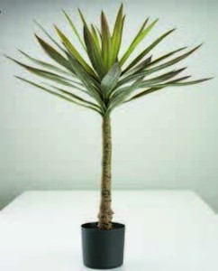 Umelá rastlina ALAN