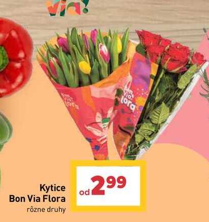 Kytice Bon Via Flora rôzne druhy 