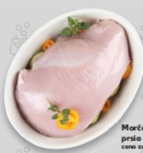 Morčacie prsia