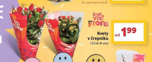Kvety od v črepníku rôzne druhy