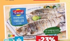 Escal Pstruh