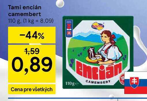 Tami encián camembert 110 g