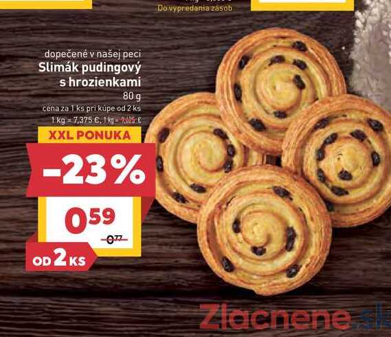 Slimák pudingový s hrozienkami 80 g