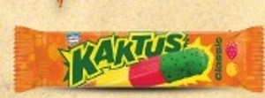 Kaktus Nanuk